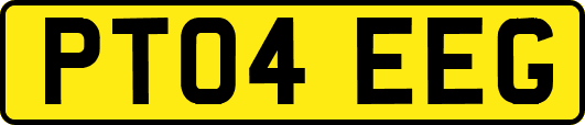 PT04EEG