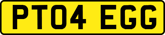 PT04EGG