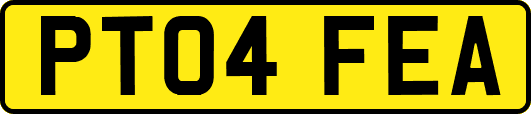 PT04FEA