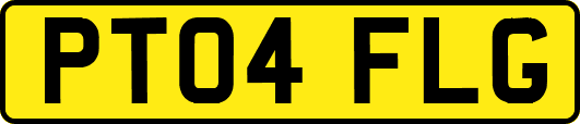 PT04FLG