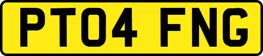 PT04FNG