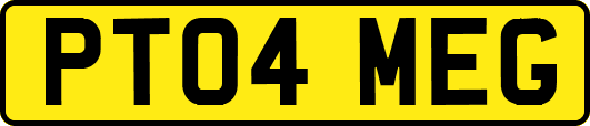 PT04MEG