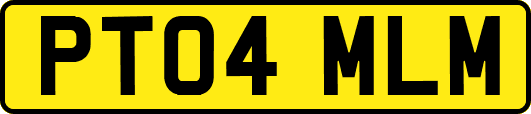 PT04MLM