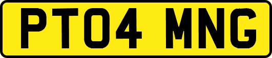 PT04MNG