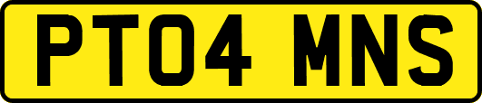 PT04MNS