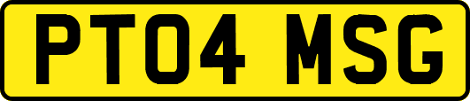 PT04MSG