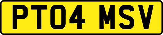 PT04MSV