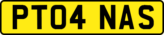 PT04NAS