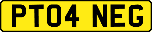 PT04NEG