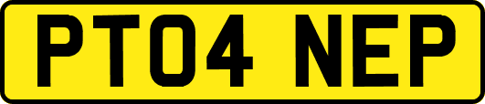 PT04NEP