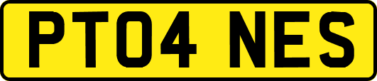 PT04NES