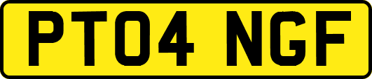 PT04NGF