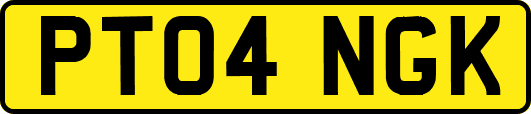 PT04NGK