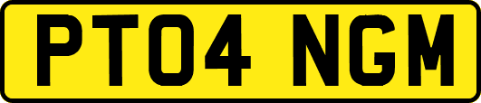 PT04NGM