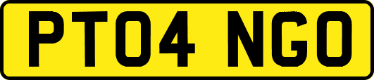 PT04NGO