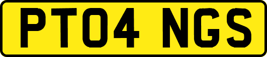 PT04NGS