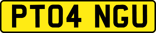 PT04NGU