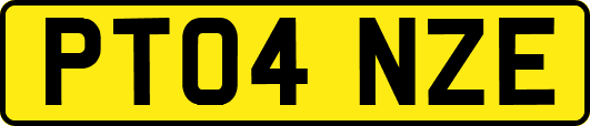 PT04NZE