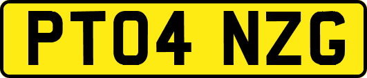 PT04NZG
