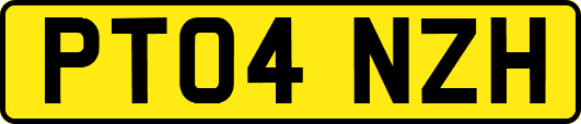 PT04NZH