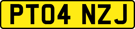 PT04NZJ