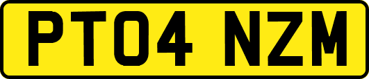 PT04NZM