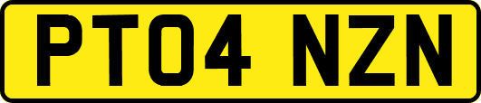 PT04NZN