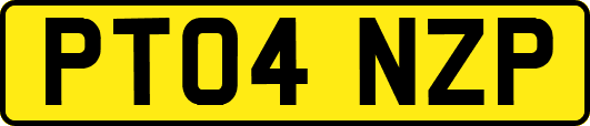 PT04NZP