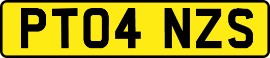 PT04NZS