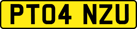 PT04NZU