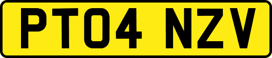 PT04NZV