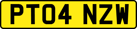 PT04NZW