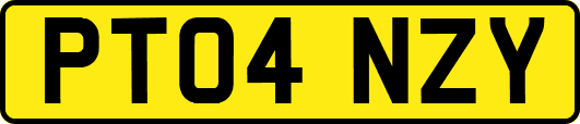 PT04NZY