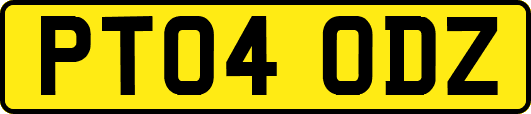 PT04ODZ