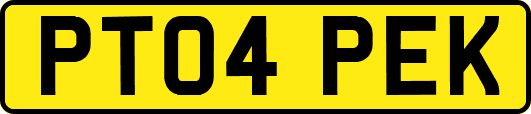 PT04PEK