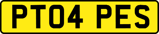 PT04PES