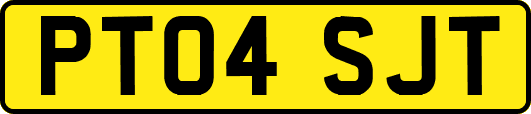 PT04SJT
