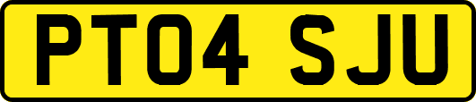 PT04SJU