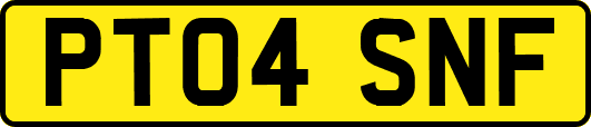 PT04SNF