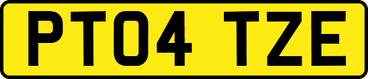 PT04TZE