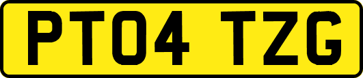 PT04TZG