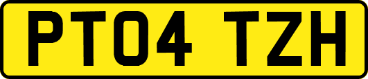 PT04TZH