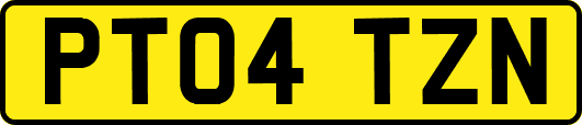 PT04TZN