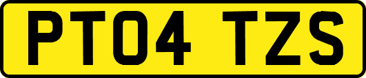 PT04TZS