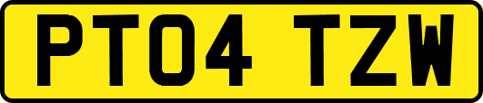 PT04TZW