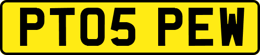 PT05PEW