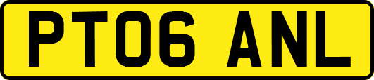 PT06ANL