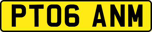 PT06ANM