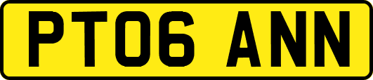 PT06ANN
