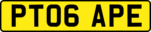 PT06APE